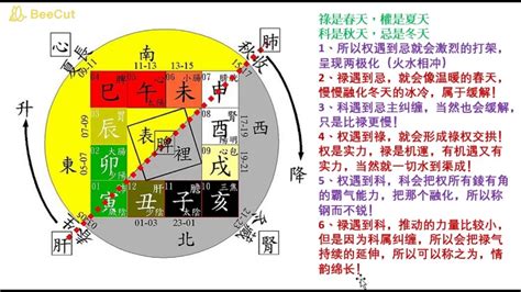 飛星 意思|紫微斗數四化，祿權科忌，在命盤上的運用及論命技巧。